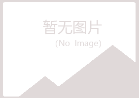 偃师狼狈能源有限公司